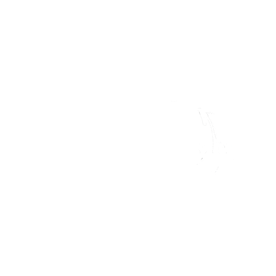 TLR Logo in White